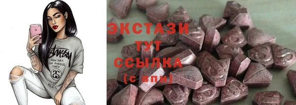 СК Алексин