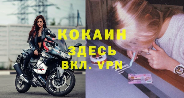 СК Алексин