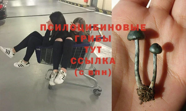 каннабис Алзамай