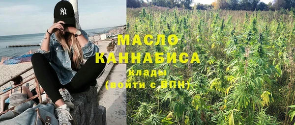 СК Алексин