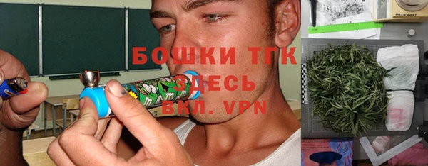 СК Алексин